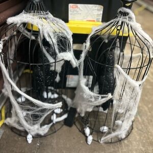 Black Wire Cage with Crow and Spider Web Decor